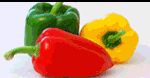 conservas_lacolina